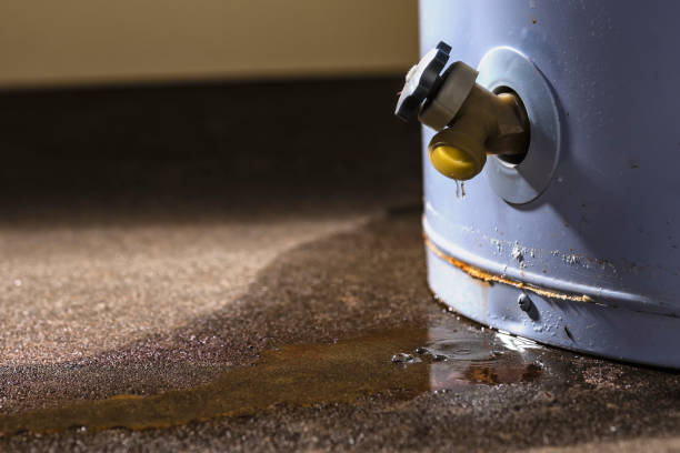 Best Water damage restoration near me  in Carrollton, GA