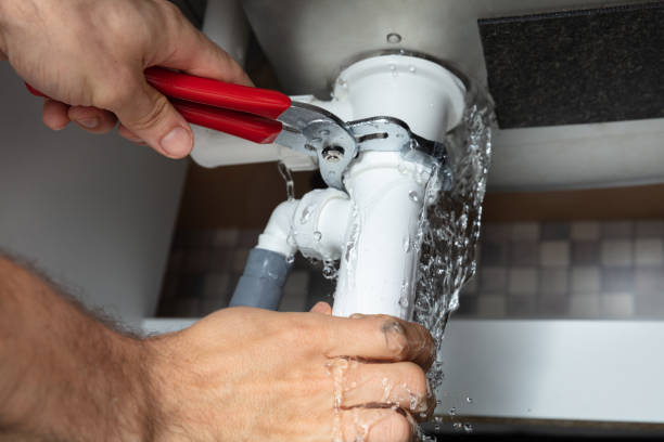 Best Professional water damage repair  in Carrollton, GA
