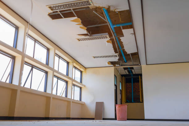 Best Flood restoration services  in Carrollton, GA
