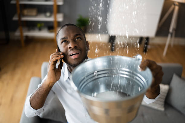 Best Local water damage restoration  in Carrollton, GA
