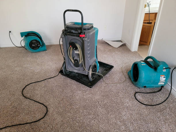 Best Water damage contractors near me  in Carrollton, GA