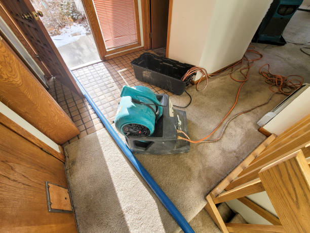 Best 24/7 water damage repair  in Carrollton, GA