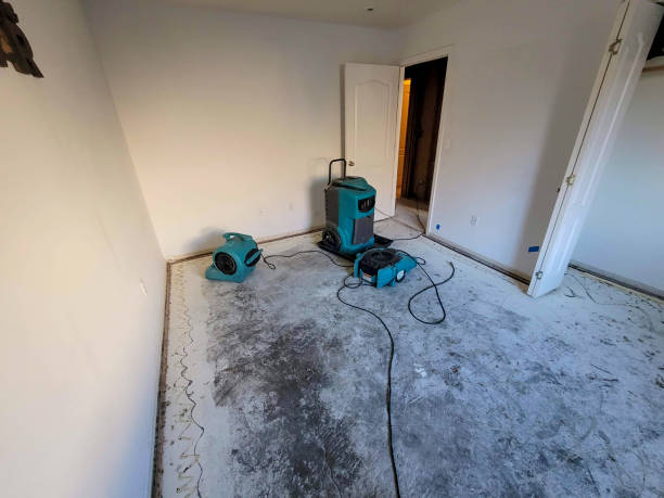 Best 24/7 water damage repair  in Carrollton, GA