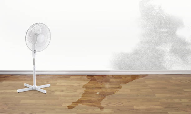 Best Ceiling water damage repair  in Carrollton, GA