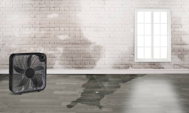24/7 water damage repair in Carrollton, GA