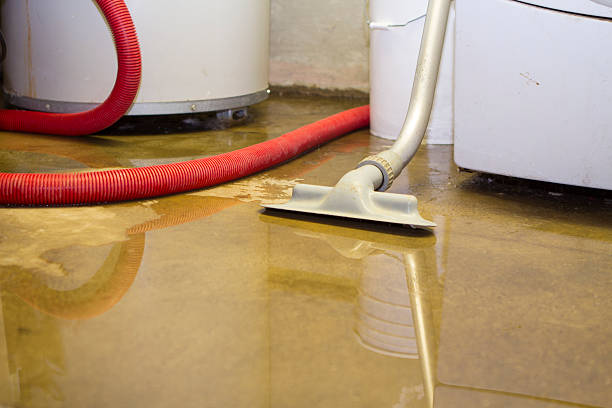 Best Local water damage restoration  in Carrollton, GA