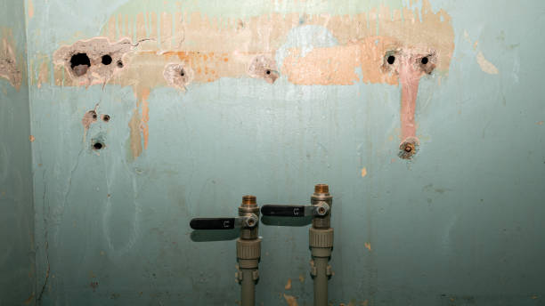 Best Commercial water damage restoration  in Carrollton, GA