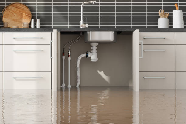 Best Fire Damage Restoration  in Carrollton, GA